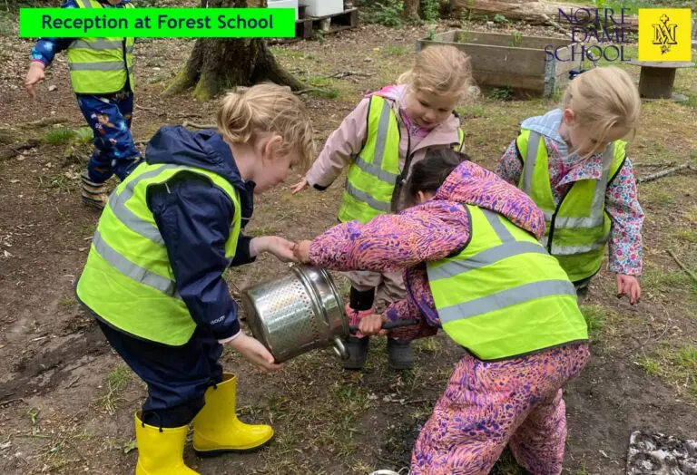 Reception at Forest School