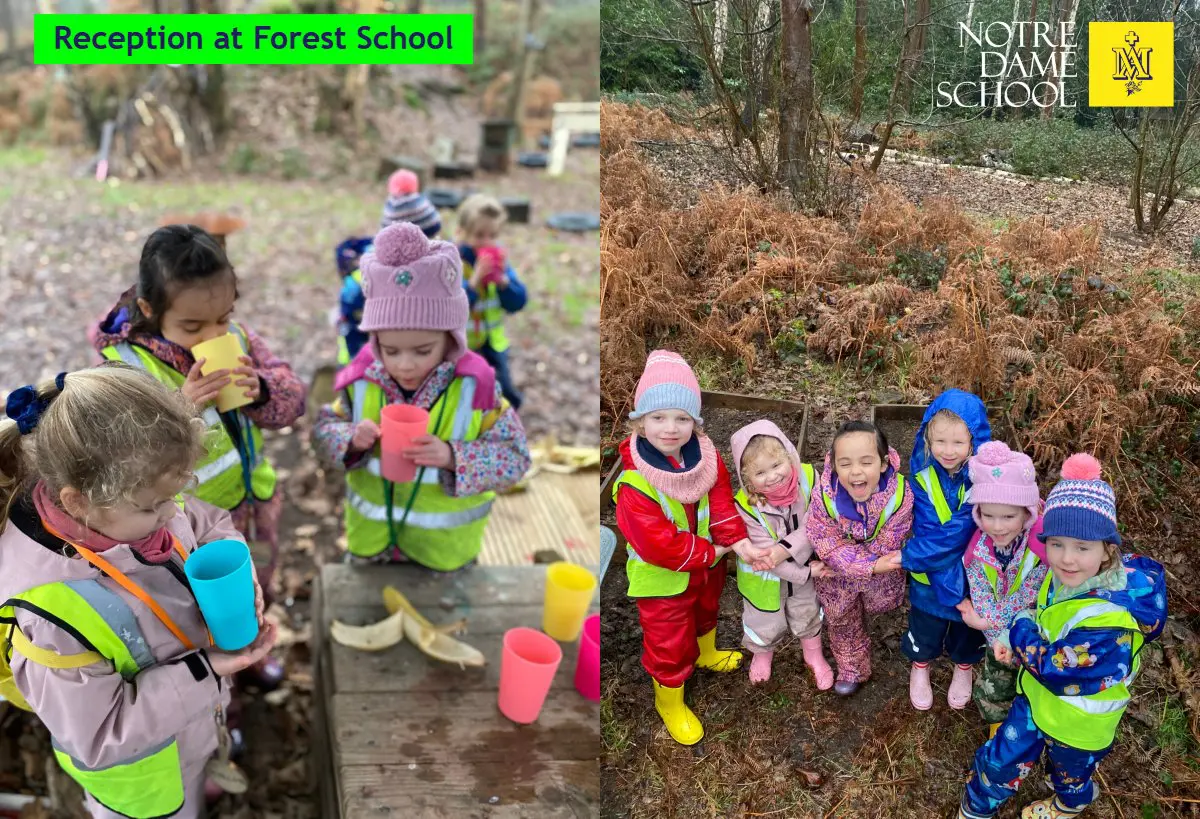 Reception at Forest School Feb 3