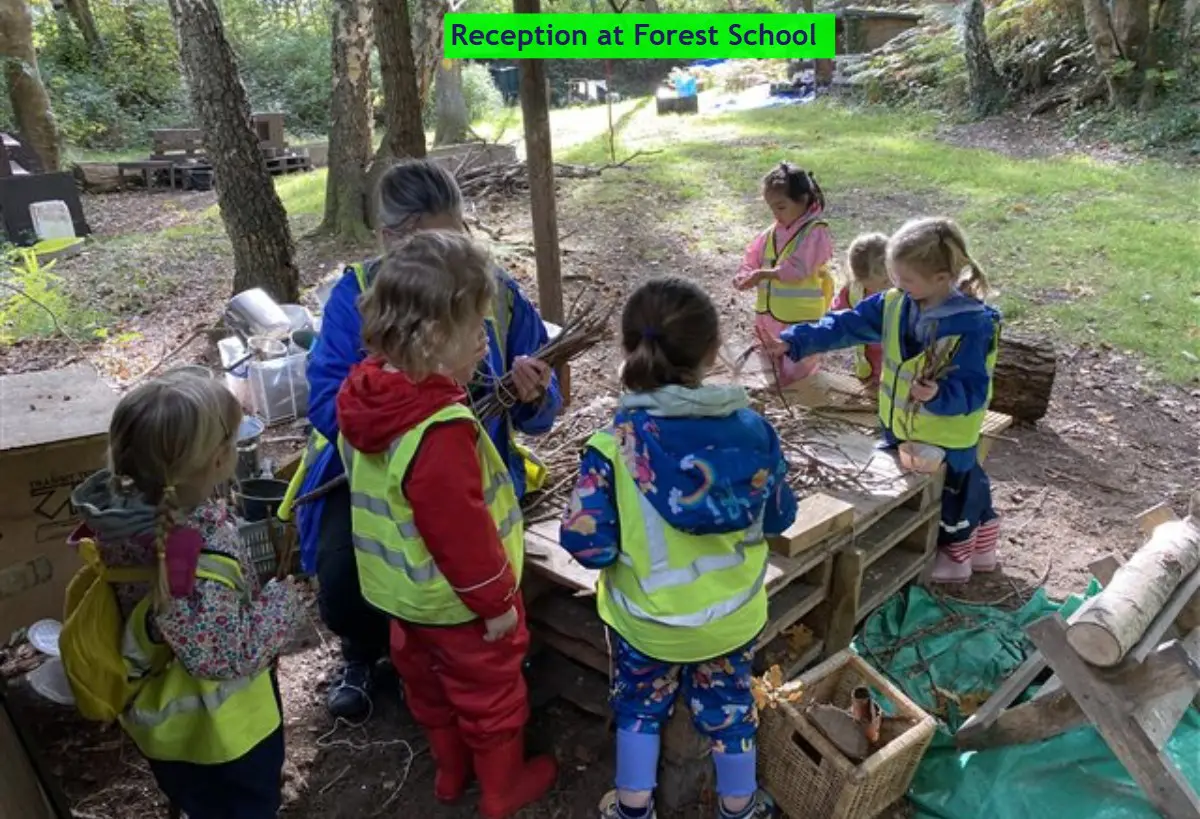 Reception at Forest School Oct 7