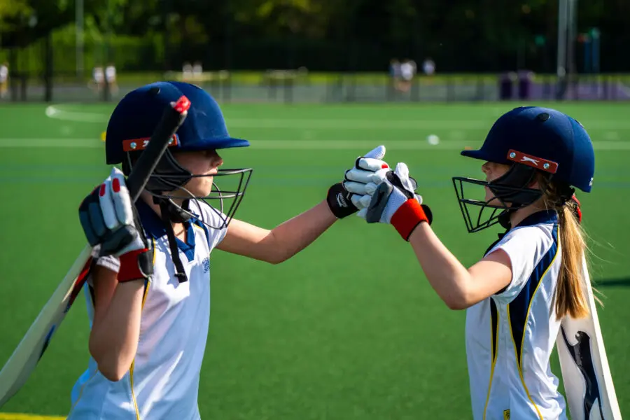 Senior Cricket Placeholder