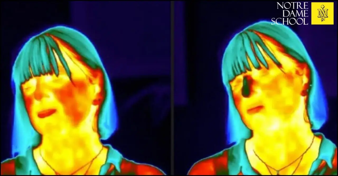 Science Corner Oct 17