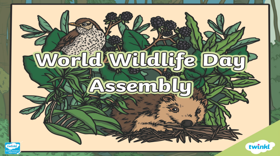 Infant Assembly - World Wildlife Day