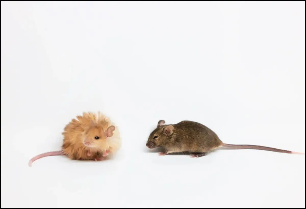 Senior School Science Corner