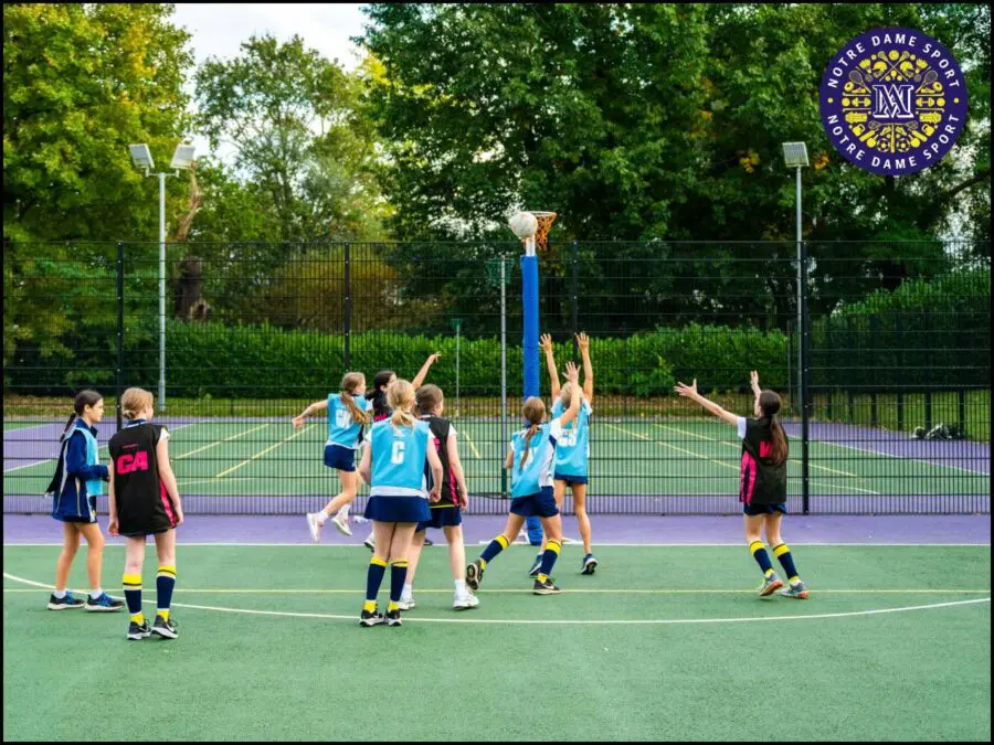 Sports Posts Netball