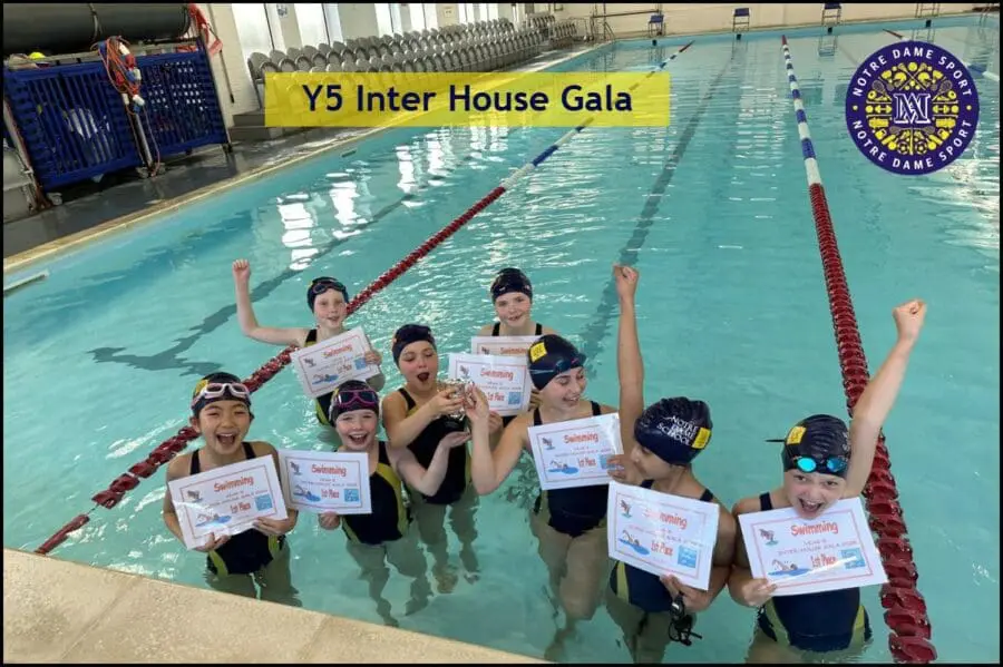 Sports Posts ( Prep Y5 inter House Gala