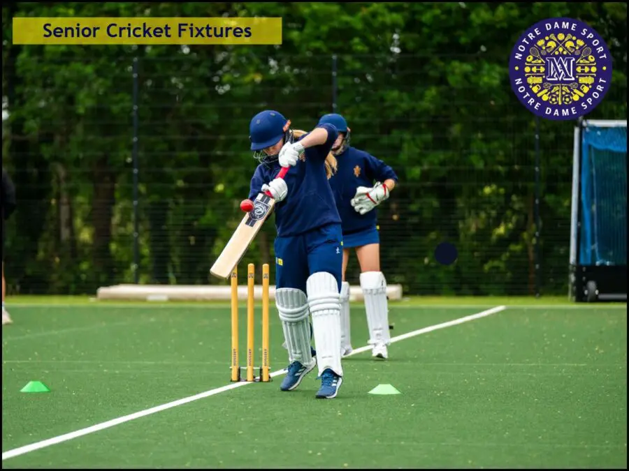 Senior Cricket Fixtures