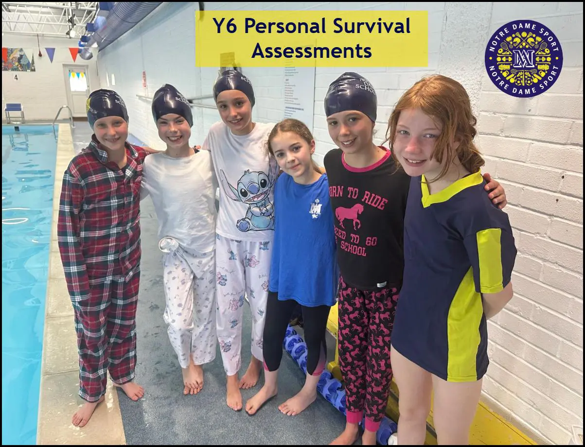 Y6 Personal Survival Assessments