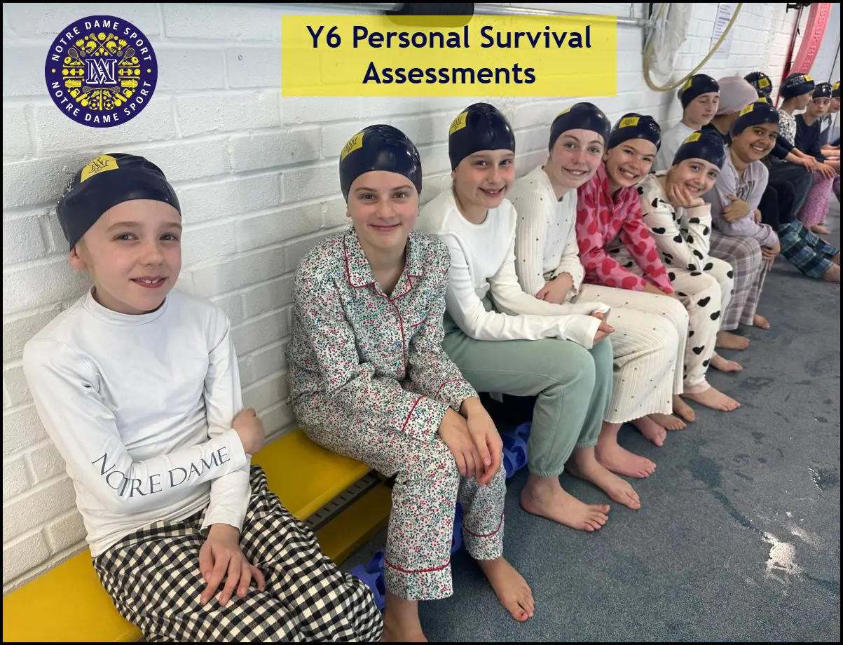 Y6 Personal Survival Assessments