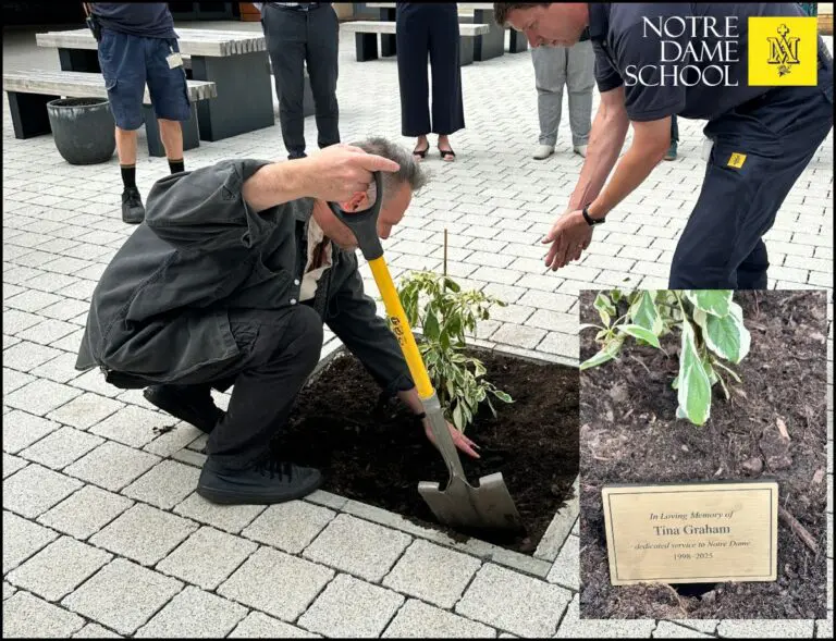 Tina's Memorial Tree
