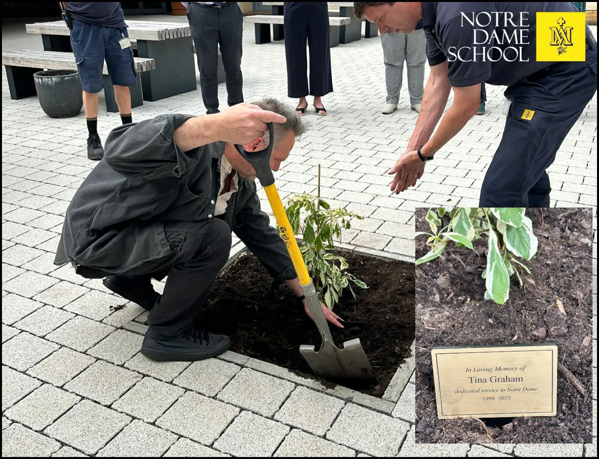 Tina's Memorial Tree