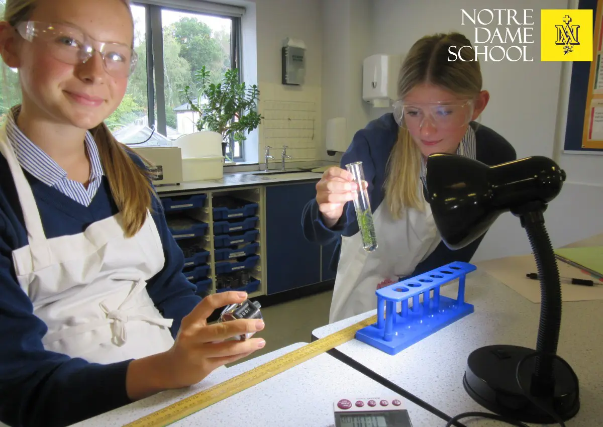 Year 10 Scientists Dive into Photosynthesis