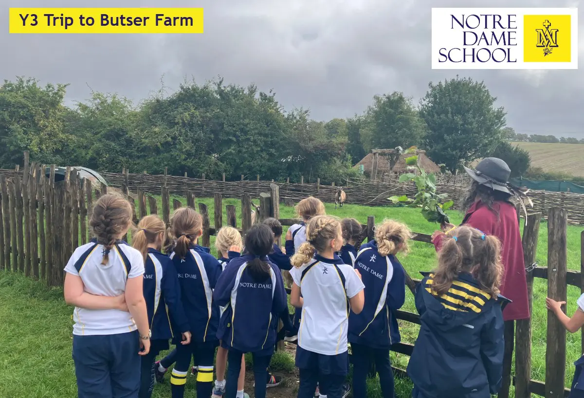 Y3 Trip to Butser Farm 2025