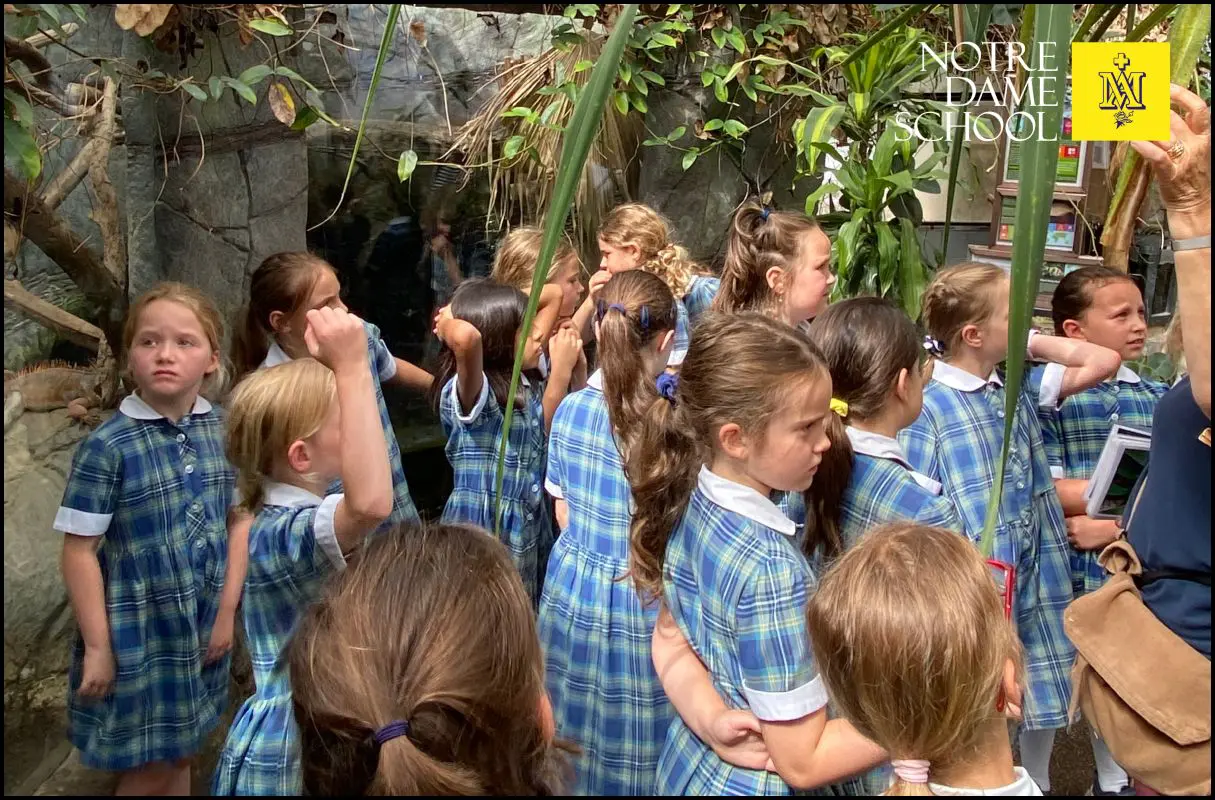 YEar 3 Rainforest Trip