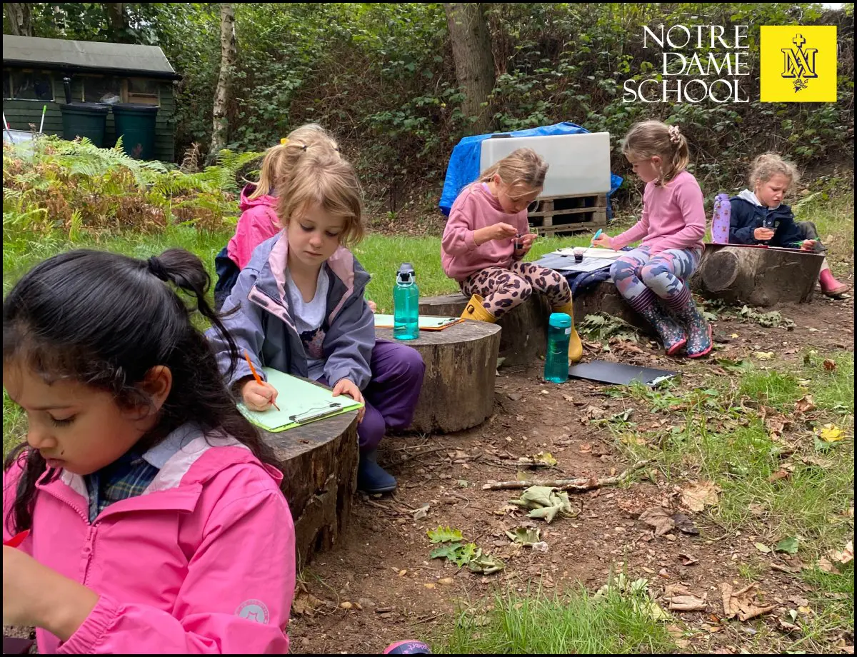 Year 1 Outdoor Learning