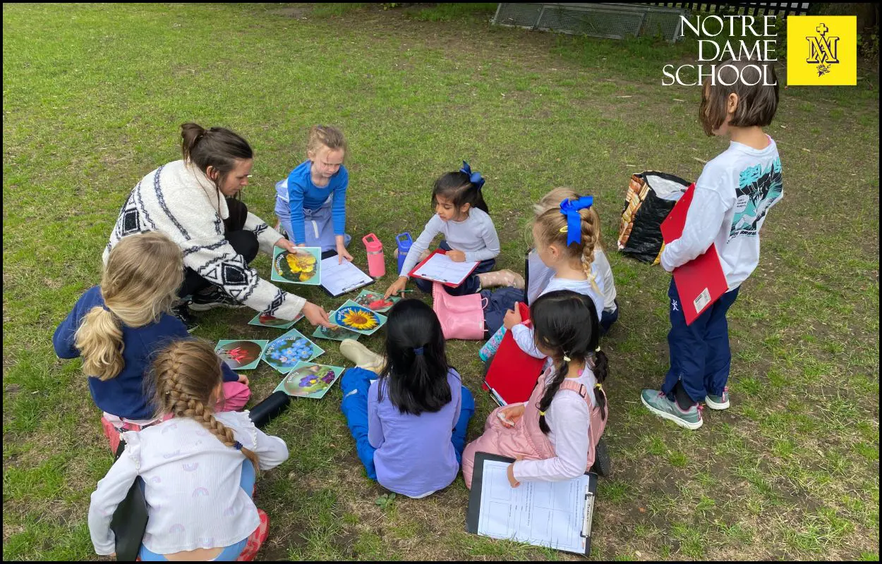 Year 1 Outdoor Learning June 12