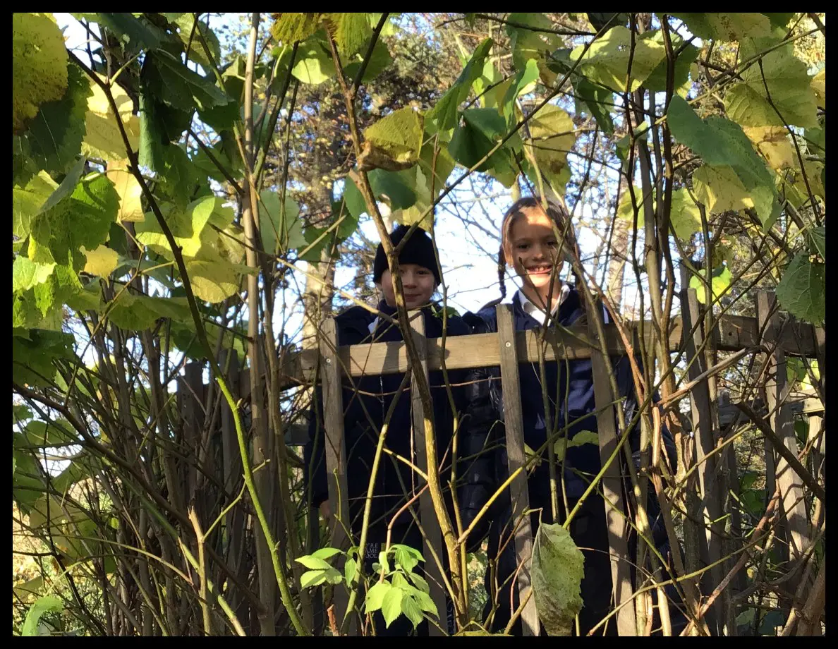 Year 2 Painshill Park Fairy-Tale Walk