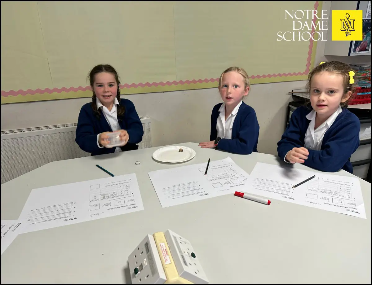 Year 3 Science Lesson