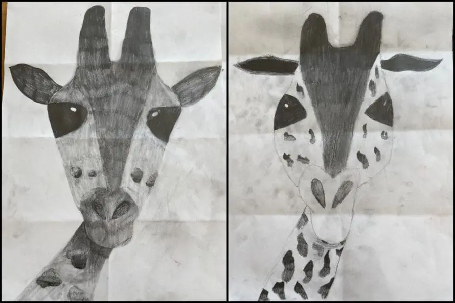 Year 4 Giraffes
