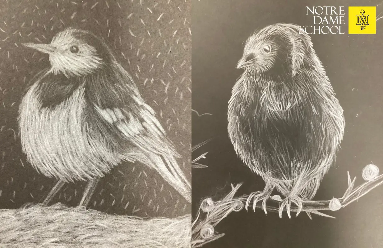Year 6 Art - Birds