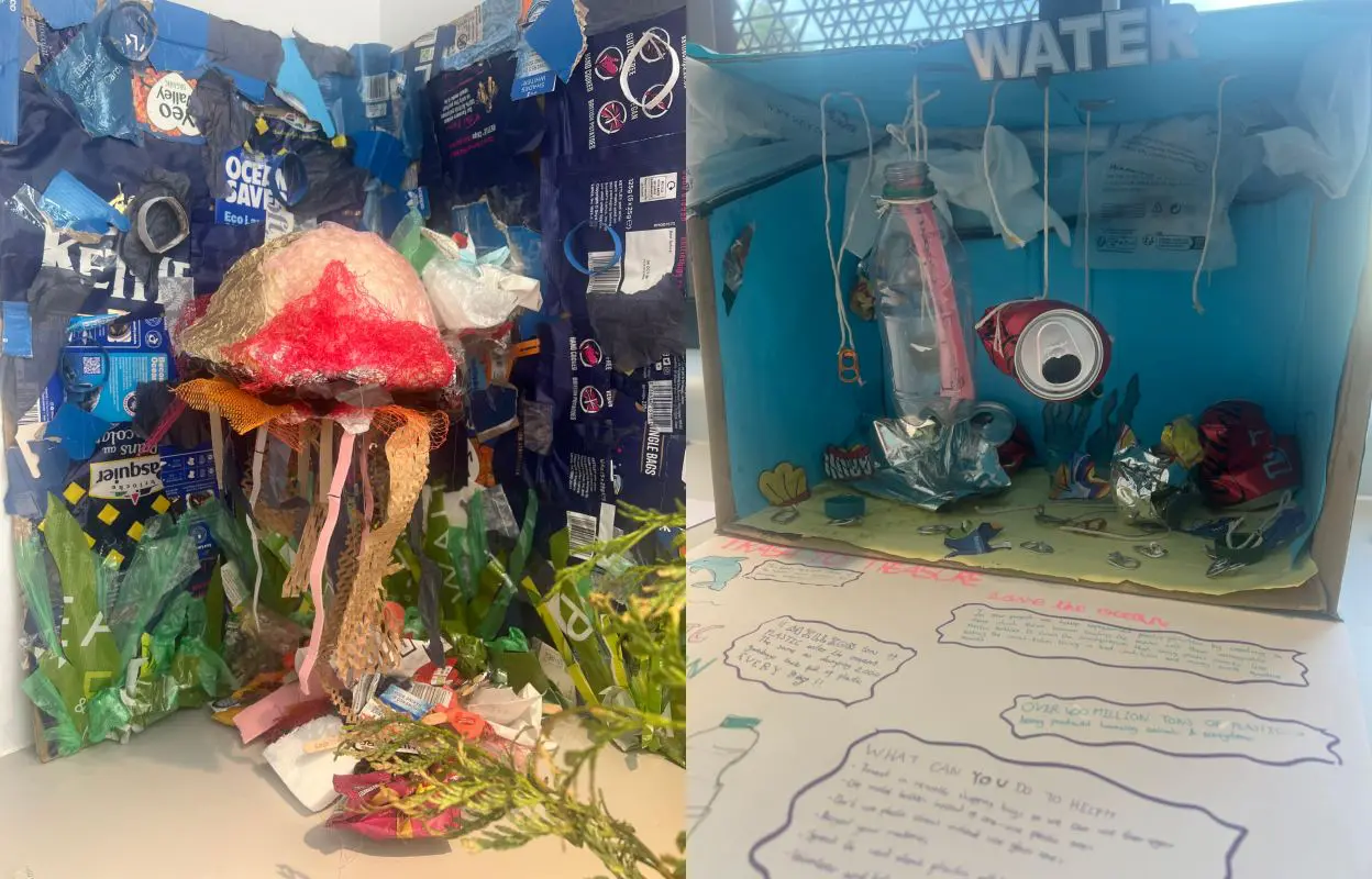 Year 8 Environment Exhibition