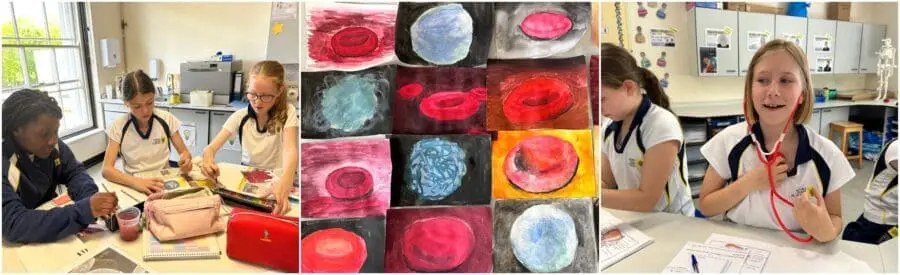 Year 6 Science - Circulatory System