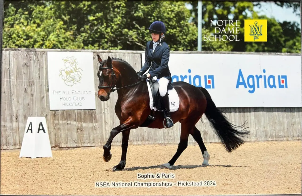 Sophie C - Equestrian Event at Hickstead