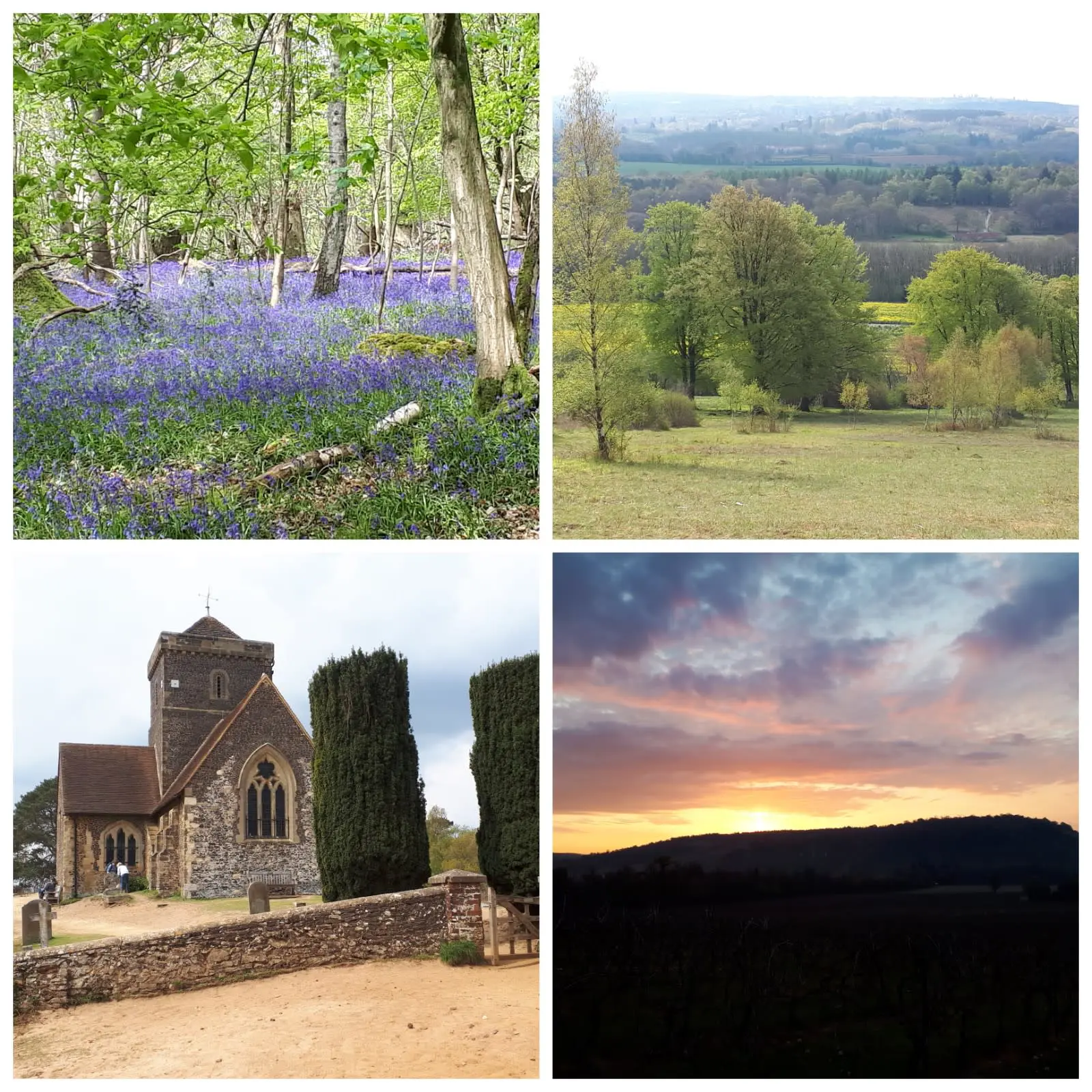 Scenes from Miss Dudgeon's Sir Tom 100 Challenge