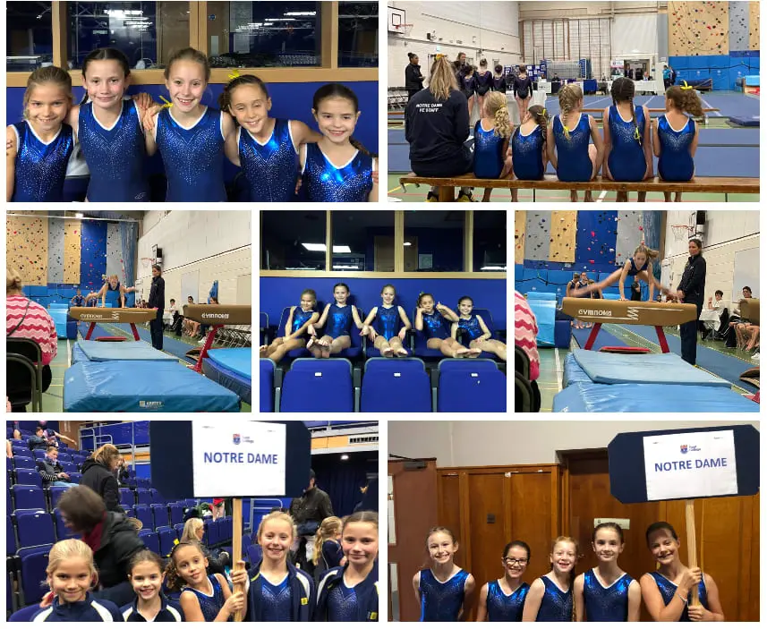 IAPS Gymnastics Championships