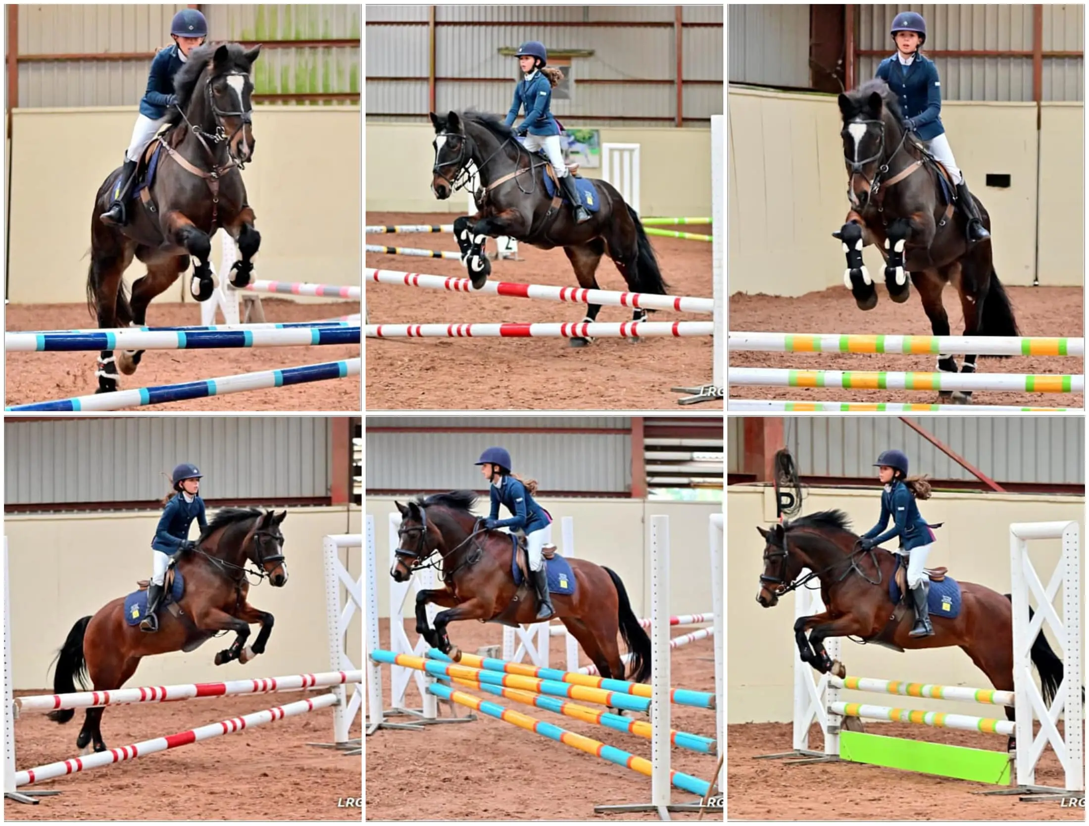 Lucy P Equestrian Competition Nov 12