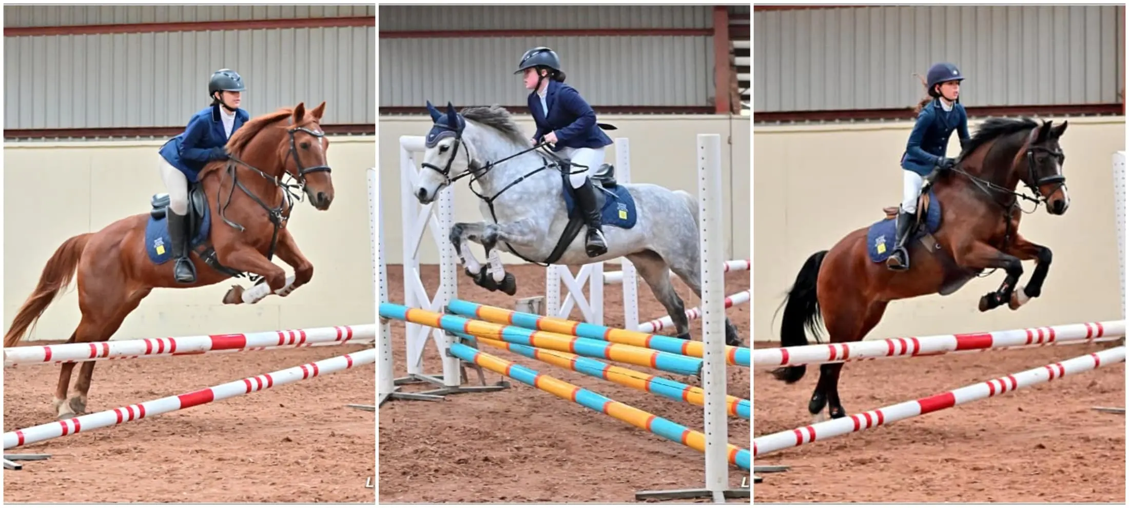 ND Equestrian Team at NSEA Nov 2023