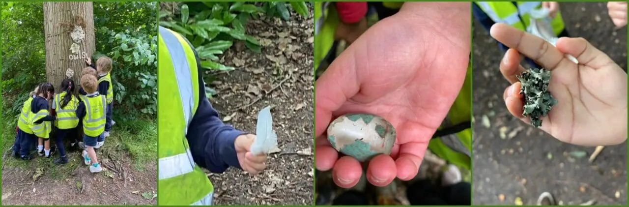 Owls Forest School June 4