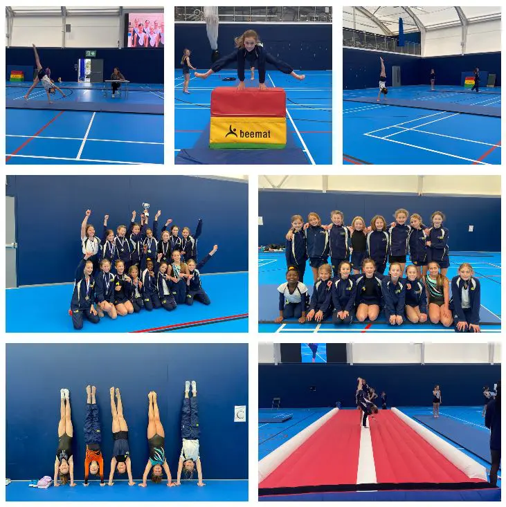 Prep Gymnastics Champions at Danes Hill competition