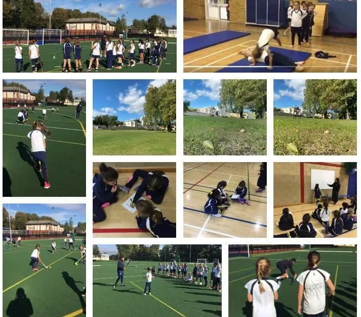 Prep Sports Collage Oct 9th