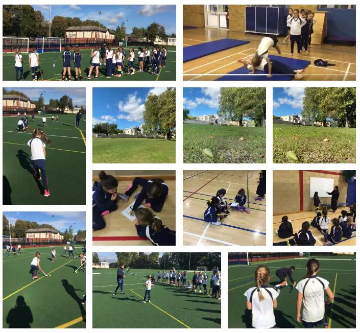 Prep Sports Collage Oct 9th