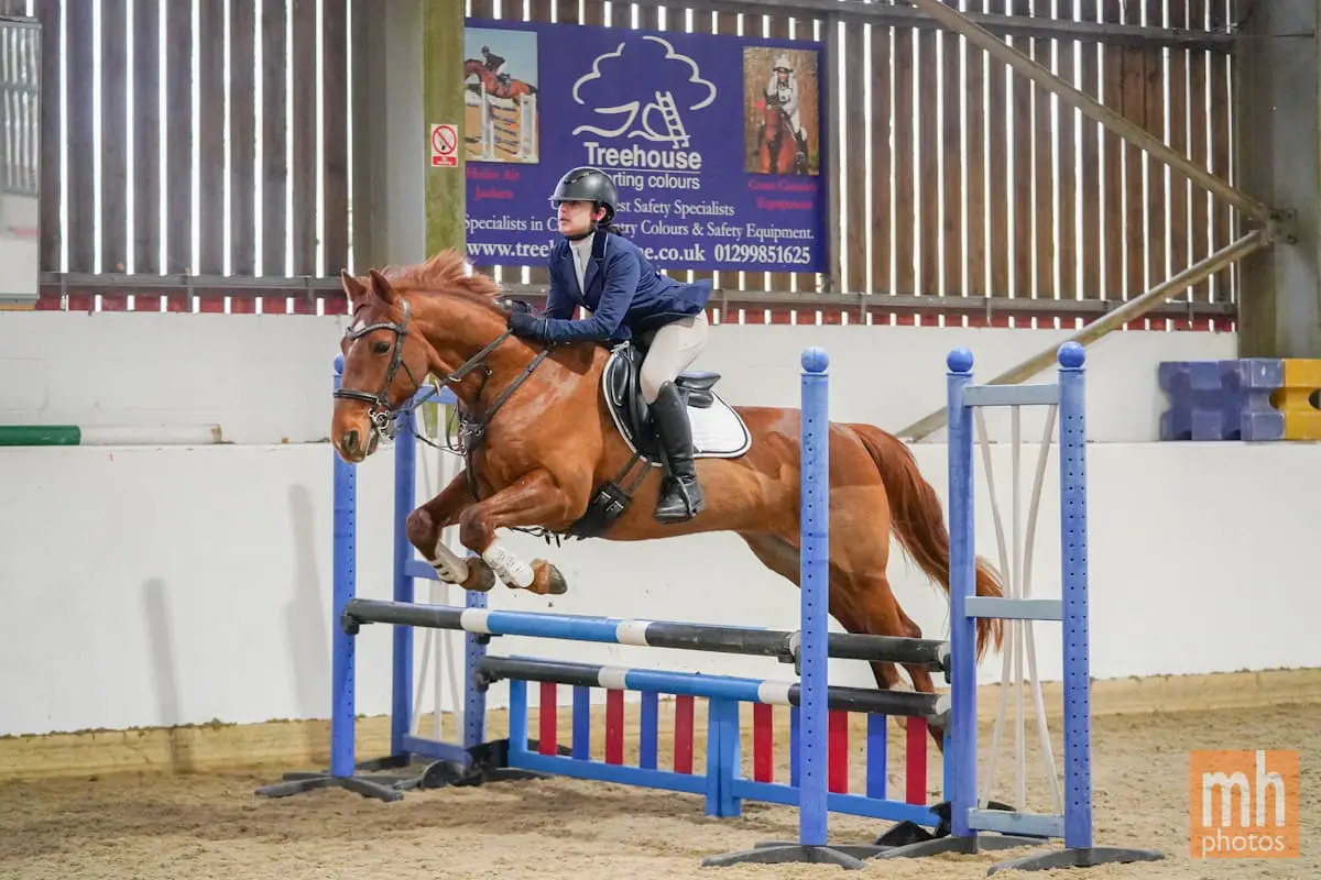 Sadeeqa Bronze at Berkshire College SHow Jumping