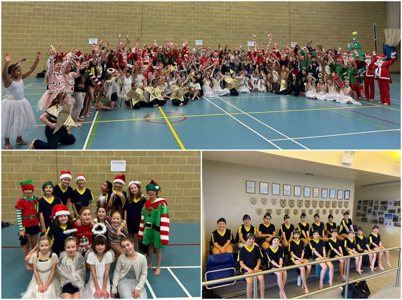 Santa Splash at GHS 2023