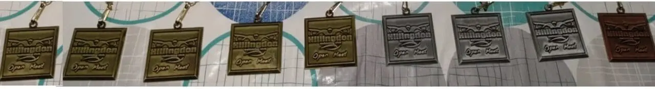 Serena Swimming Medals