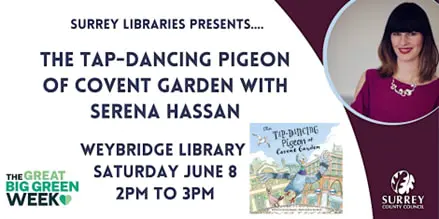 The Tap Dancing Pigeon of Covent Garden