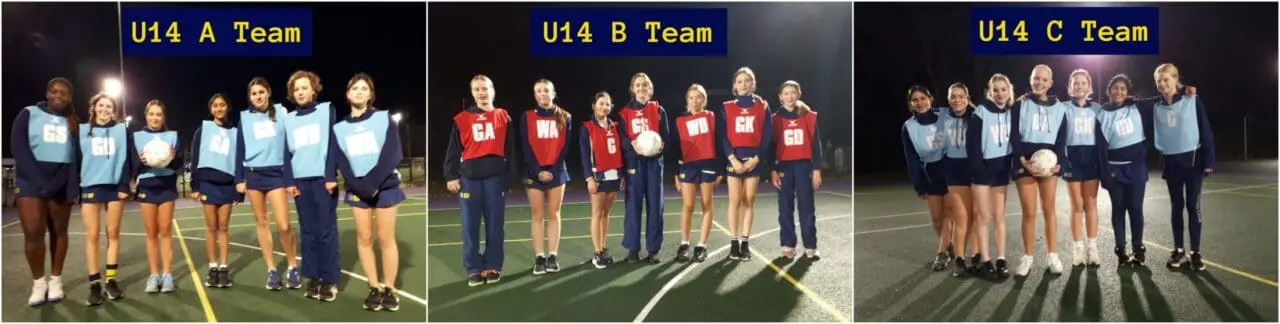 U14 A - C Netball Teams v Tormead
