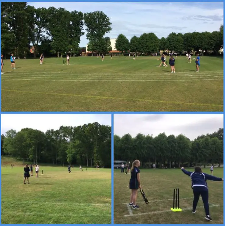 U14 Cricket v MHS