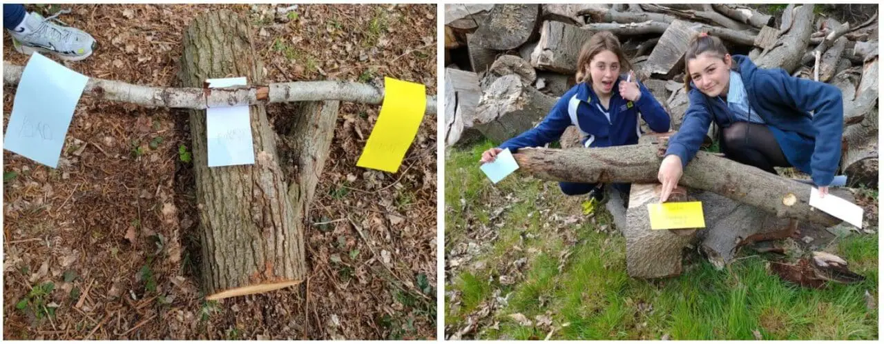 Year 10 GCSE PE - Levers