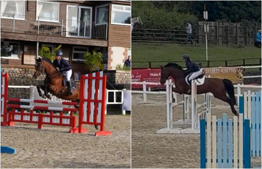 Fran S Showjumping