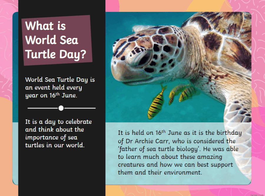 Infant Assembly - World Sea Turtle Day
