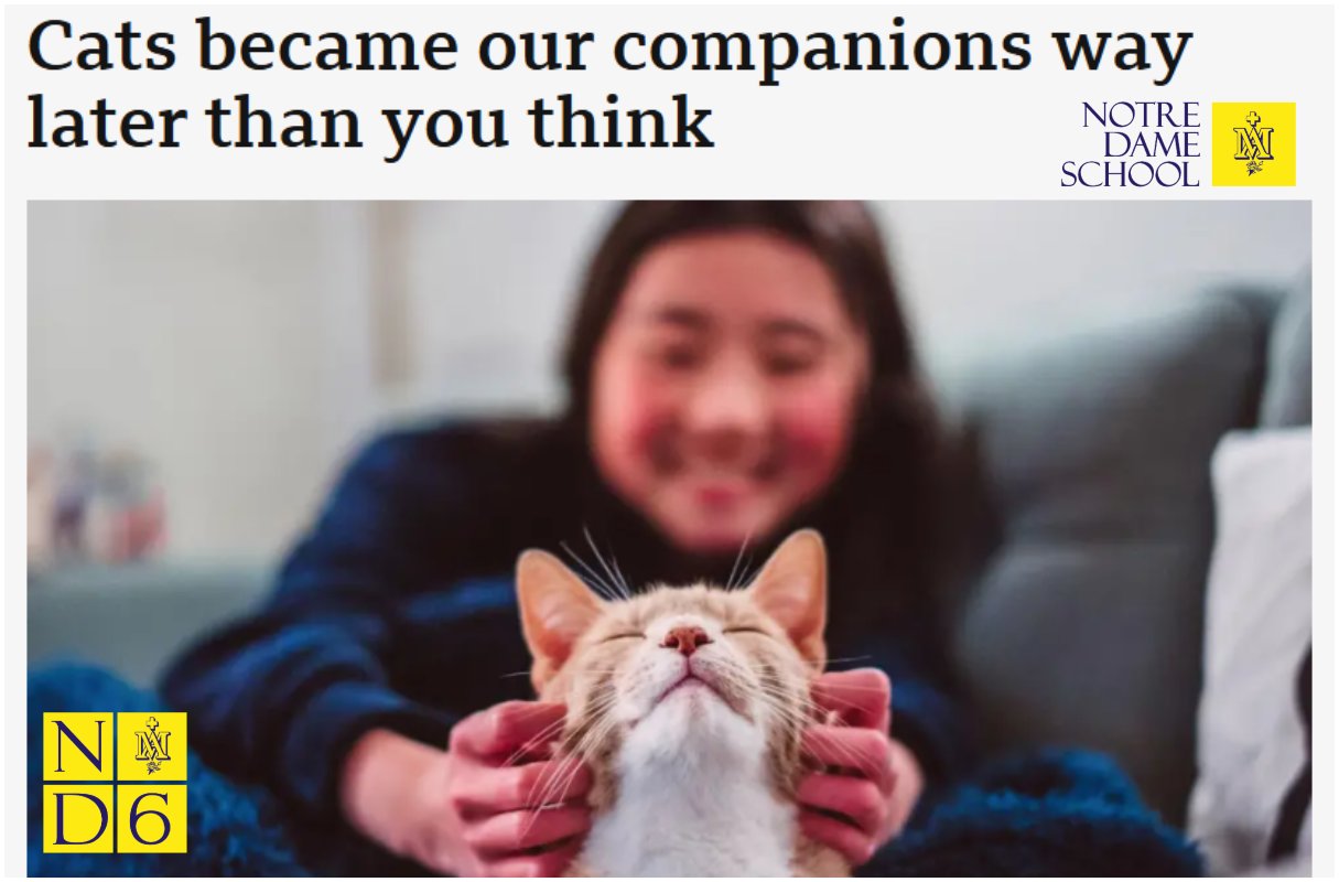 ND6 Posts - Science Corner - Cats