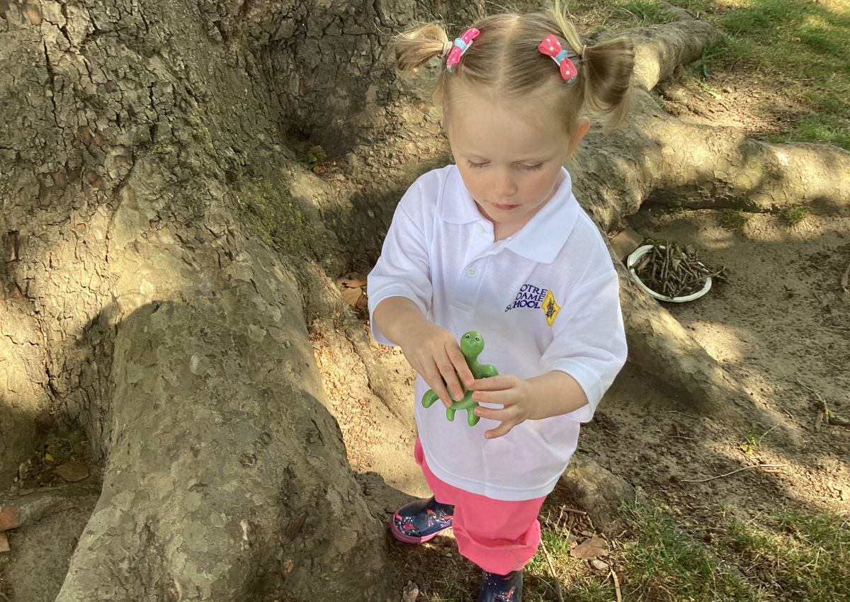 NDEY - Caterpillars News June 3rd