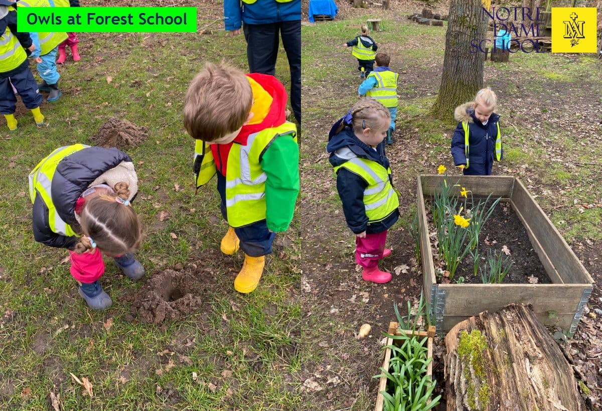 Owls Forest School Feb 23