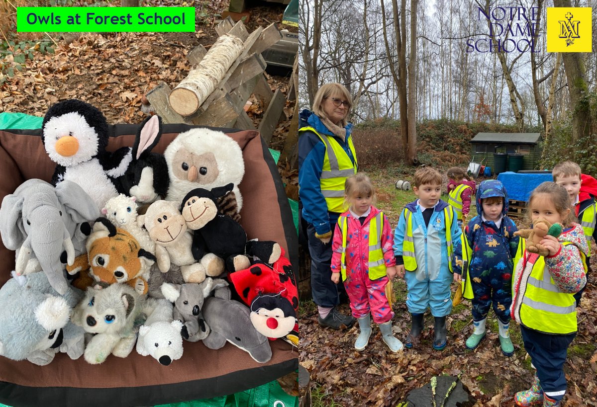 Owls Forest School Jan 19