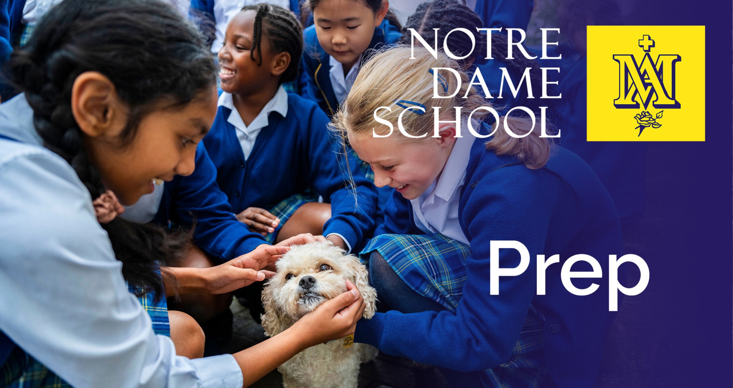 Prep video cover 2025