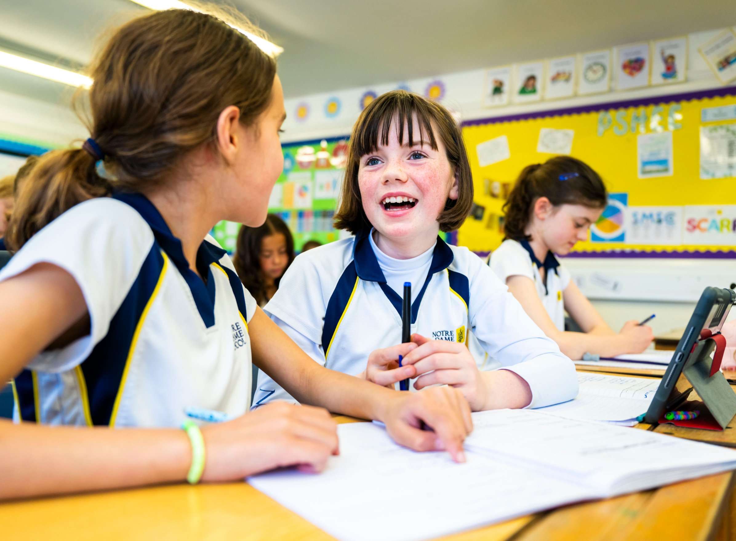 Progression Pathways Programme Left Side