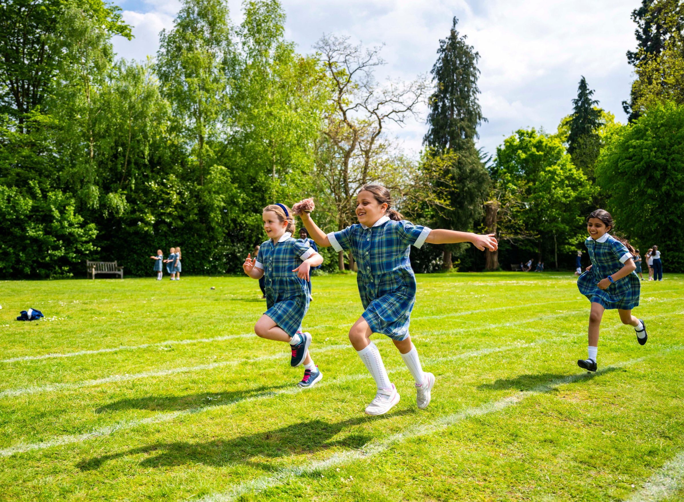 Progression Pathways Programme Right Side